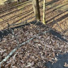 Quality-Gutter-Cleaning-in-Stockbridge-GA 0