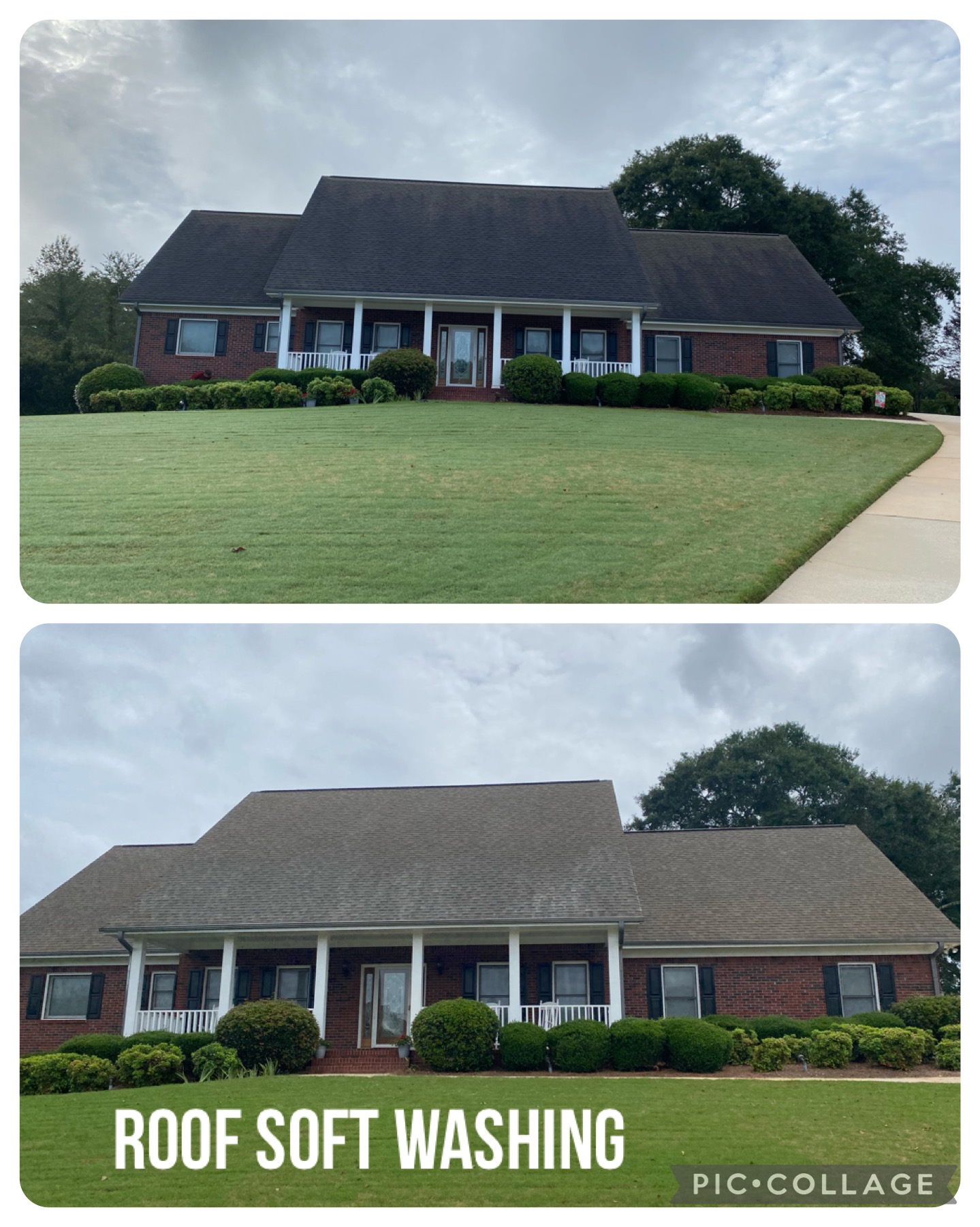 Soft Wash Roof Cleaning - Don't Get Dropped by Your Insurance